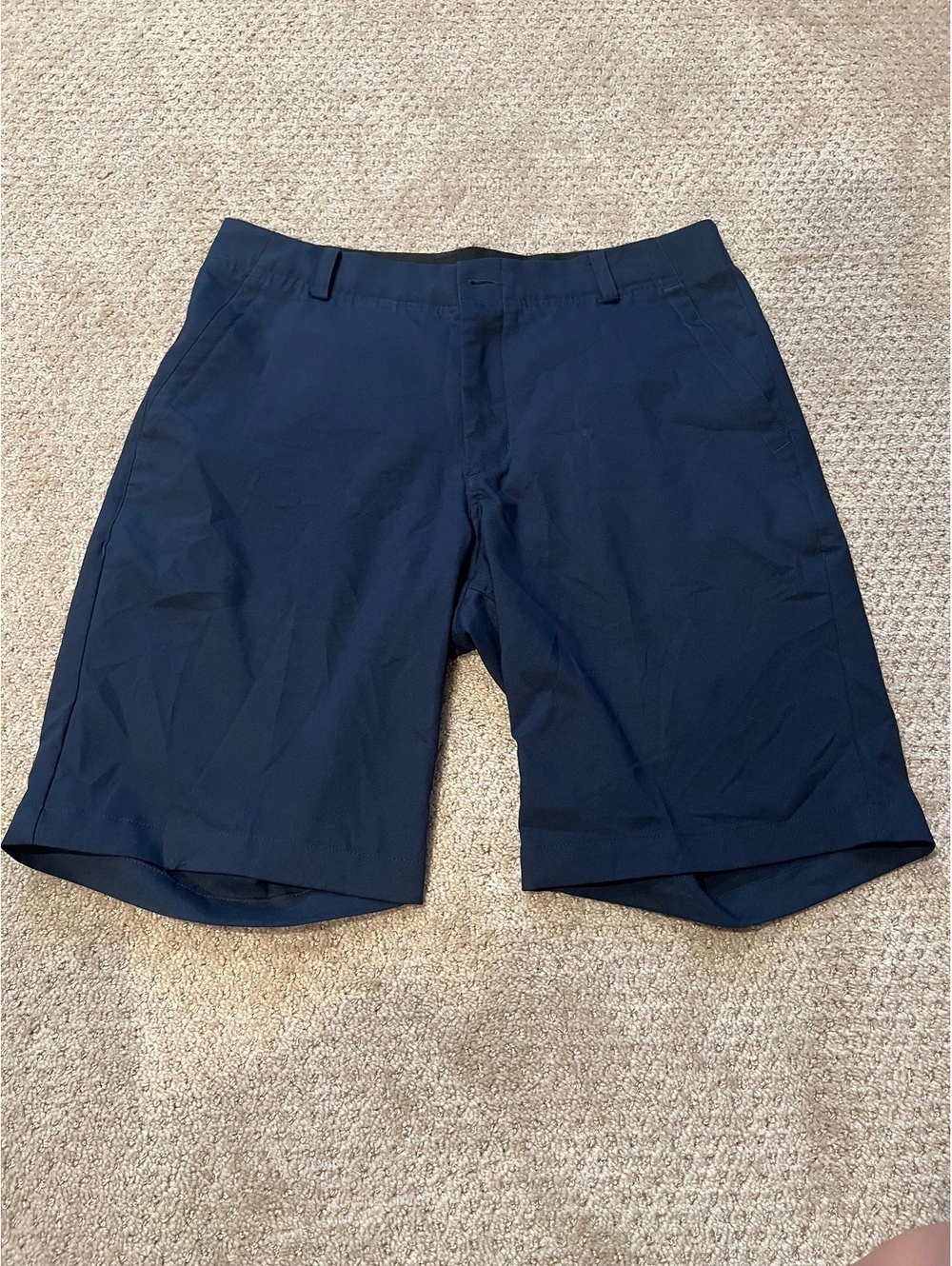 Nike Golf Shorts (32)